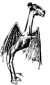 A Jersey Devil black and white illustration