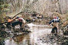 Mosquito Control Unit workers