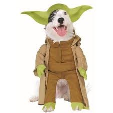 May the 4th Be with You [dog dressed in Yoda costume]