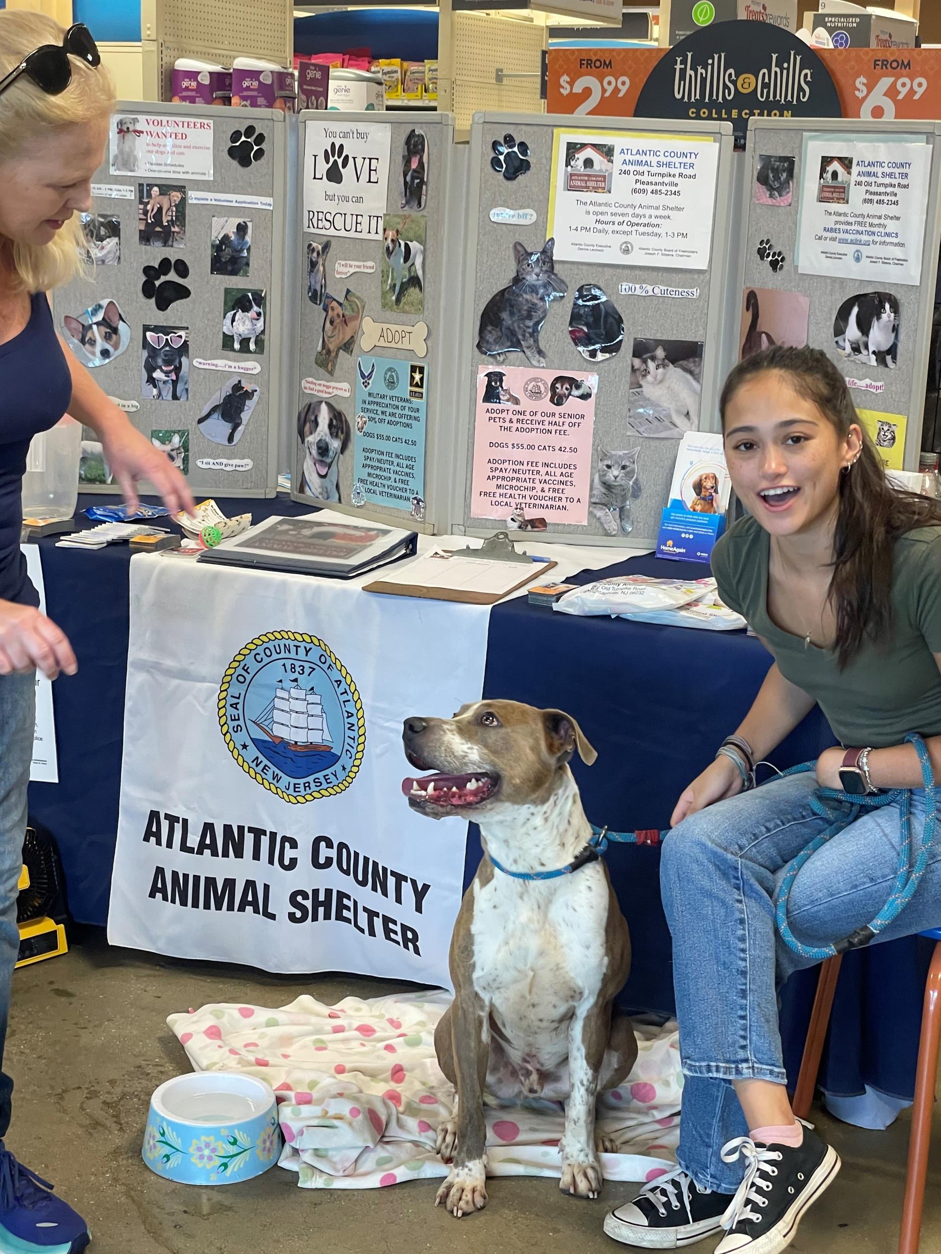 Dog Bronco at a public event table with a shelter volunteer