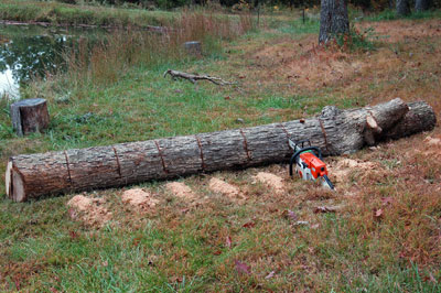 Chainsaw in a log